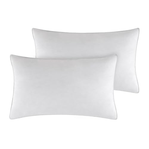 Throw pillow inserts - pillow, x